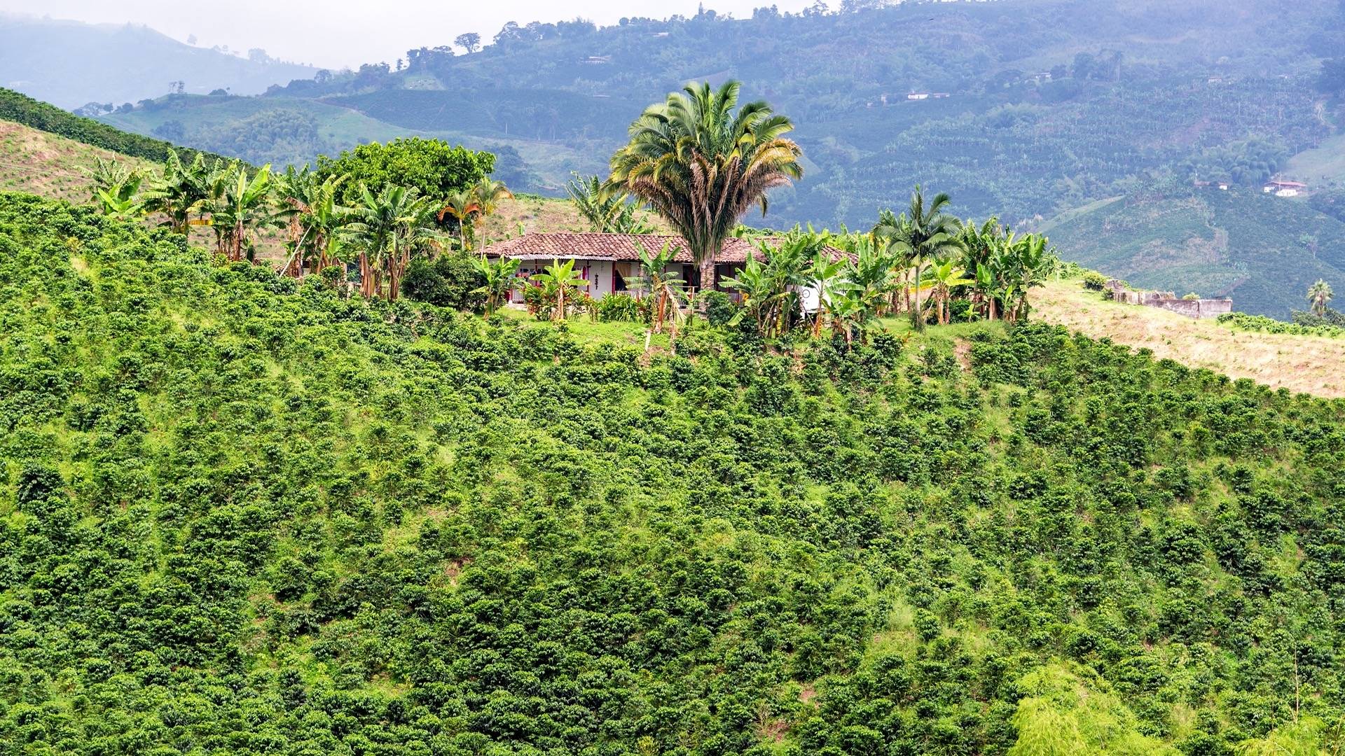 Vue aérienne de la finca